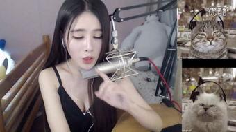 女主播熊猫屁股,女主播的爆笑日常与网络奇遇