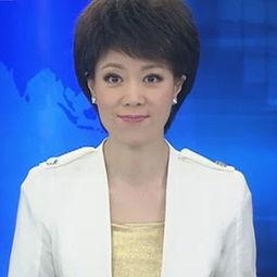 央视文静个人资料简介,才华横溢的主持人生涯与魅力风采