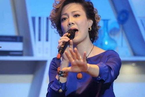央视文静个人资料简介,才华横溢的主持人生涯与魅力风采